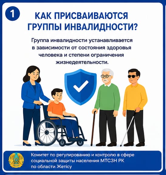 Мүгедектік топтары қалай белгіленеді?