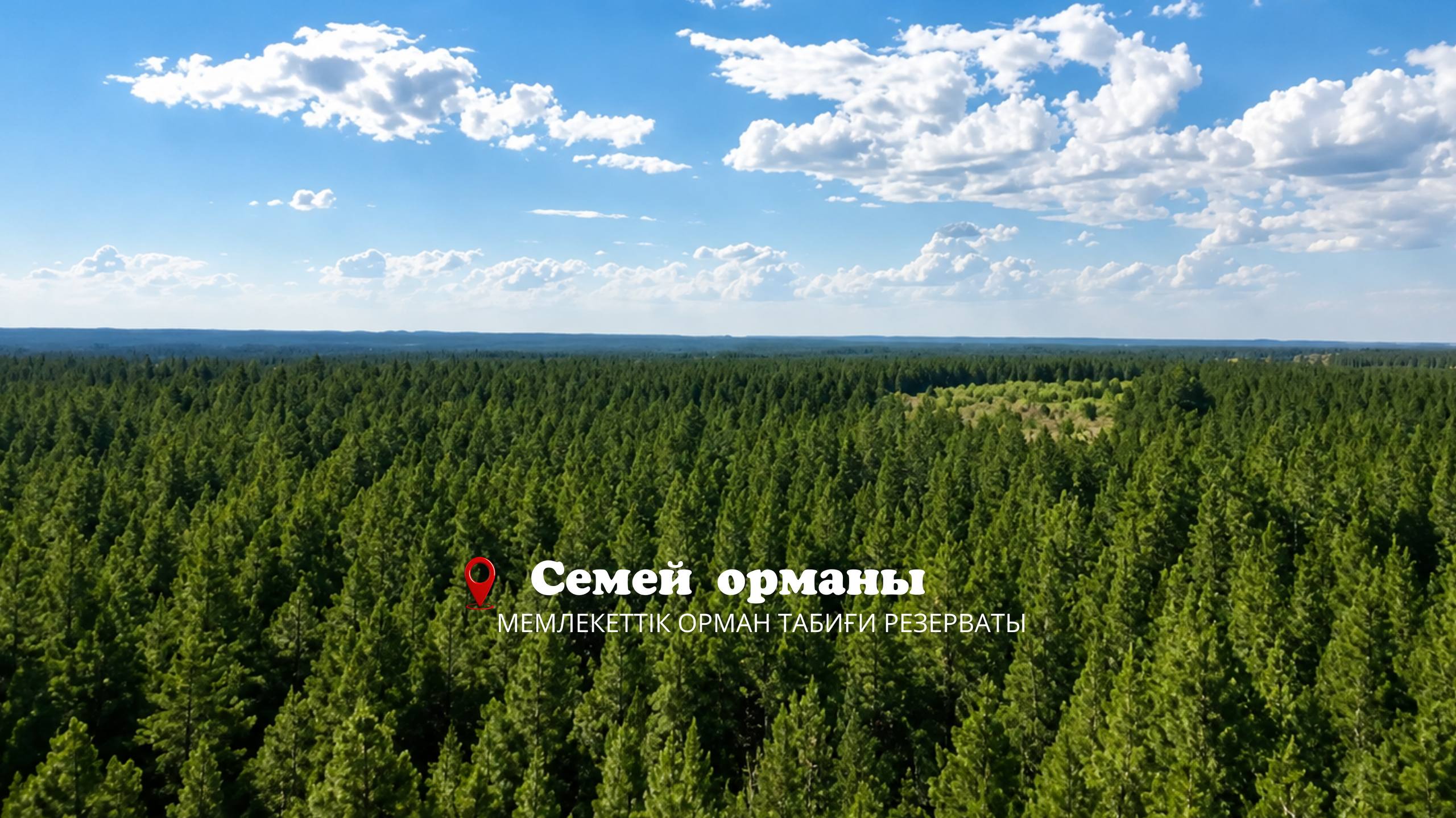 Семей орманы – Ертіс бойындағы жасыл қазына