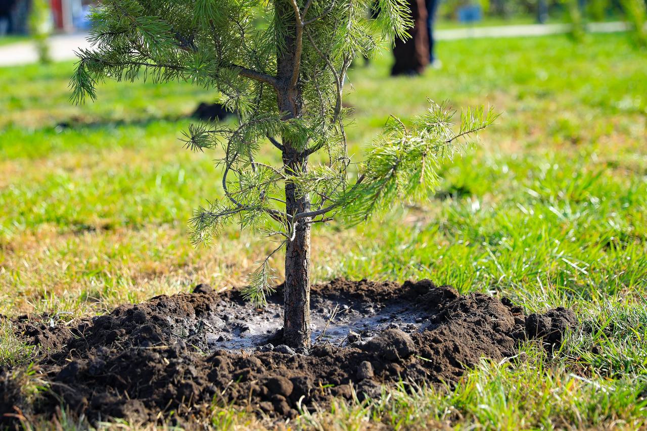 Мыңдаған ақтөбелік World Cleanup Day акциясына үлес қосты