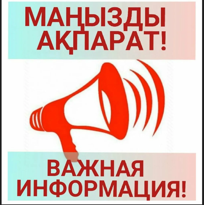 Бірыңғай есеп беру күні