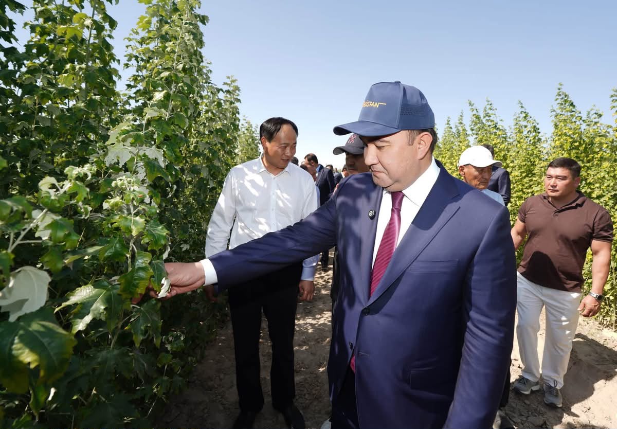 ТҮРКІСТАН ОБЛЫСЫНДА ЖАҢА ТӘСІЛ АРҚЫЛЫ ТҰЗДЫ ТОПЫРАҚТАҒЫ КӨШЕТТЕРДІҢ ӨНІМДІЛІГІ 90 ПАЙЫЗҒА ЖЕТТІ