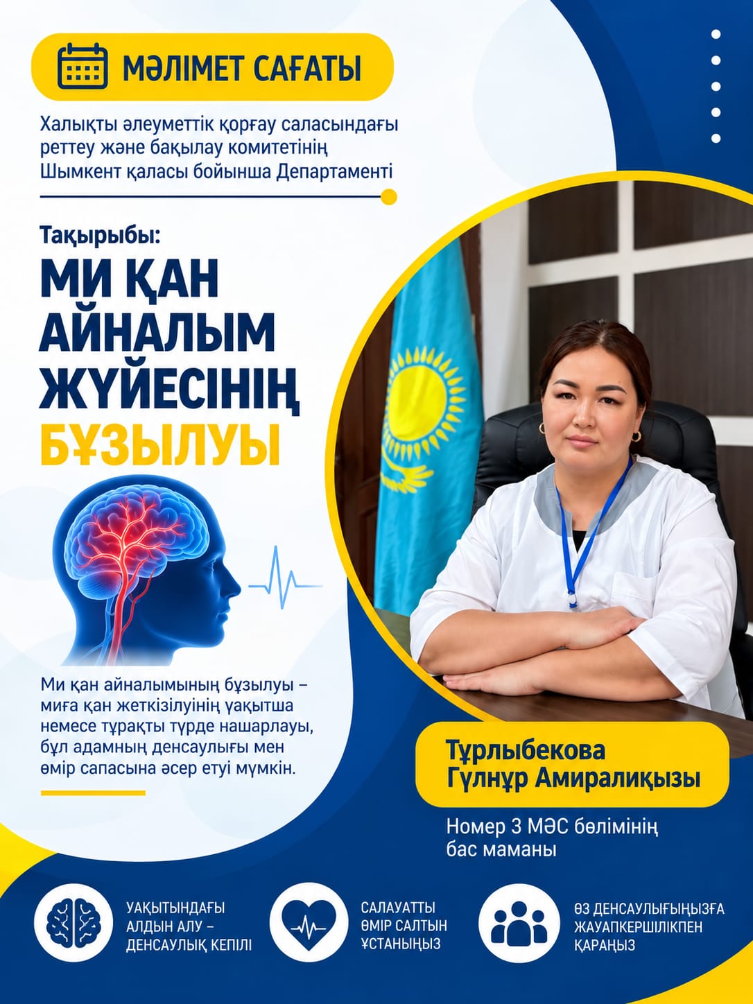 Ми қан айналымының бұзылуы: себептері, түрлері және емдеу жолдары