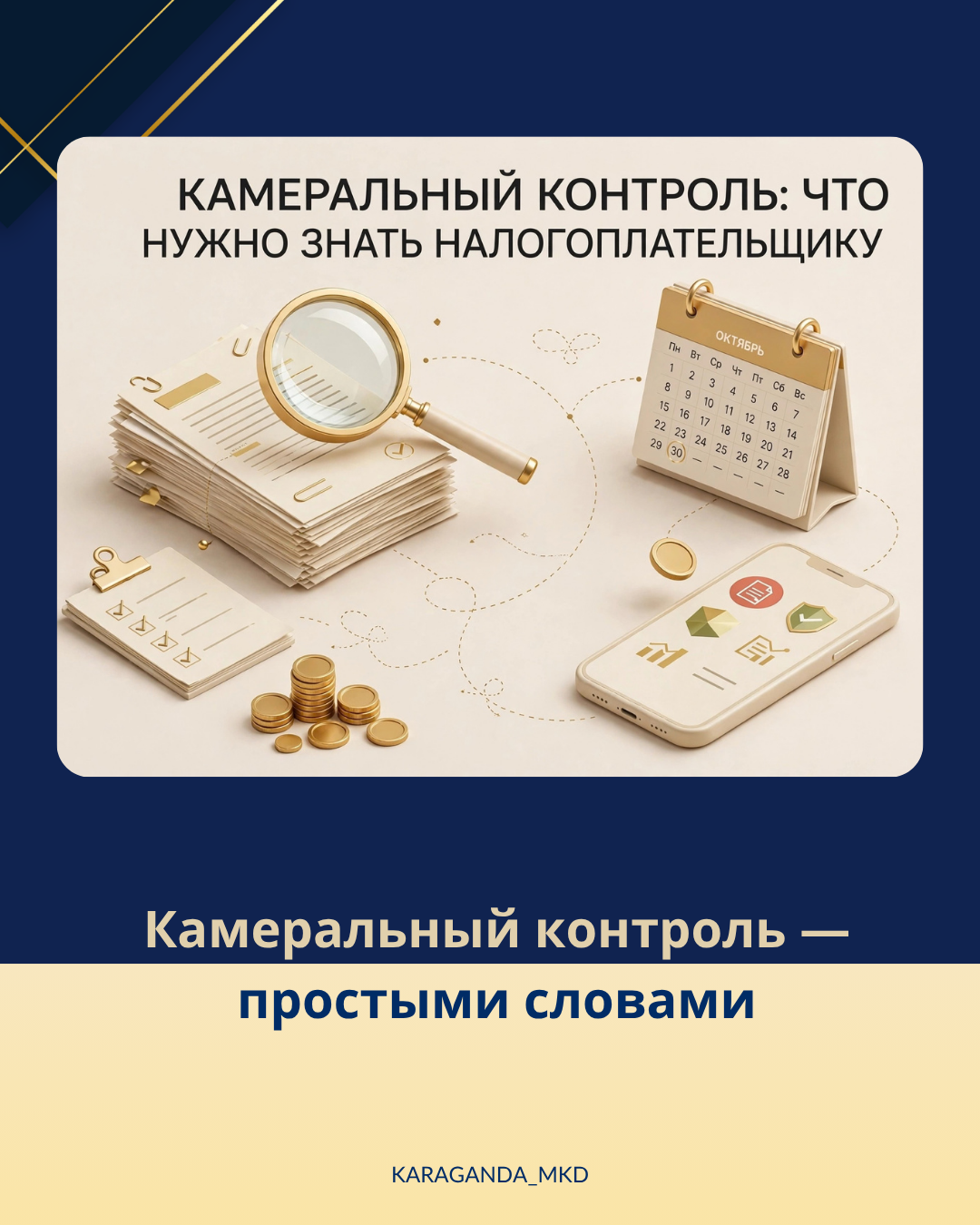 КАМЕРАЛДЫҚ БАҚЫЛАУ: САЛЫҚ ТӨЛЕУШІ НЕНІ БІЛУІ КЕРЕК