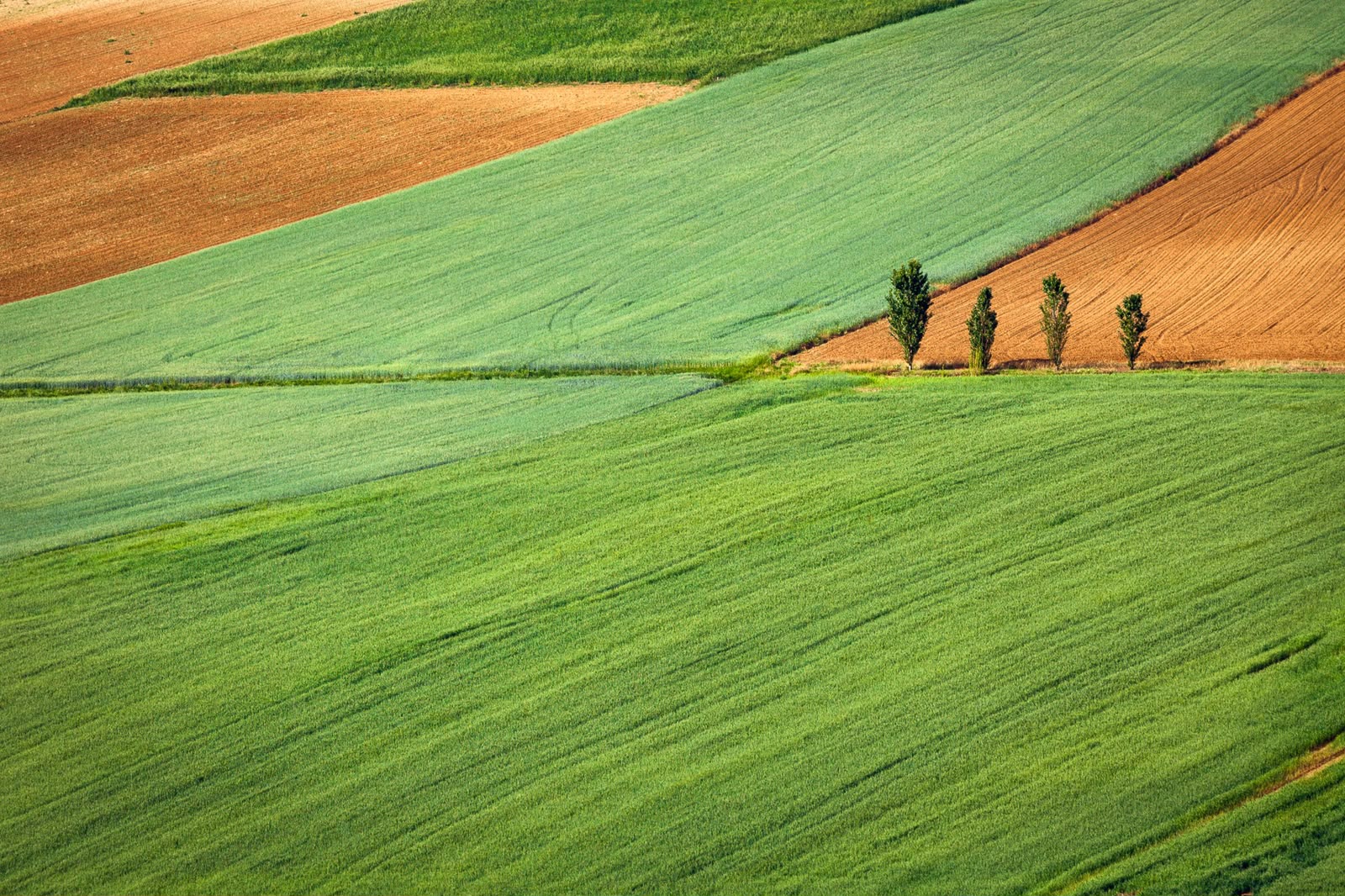 АҚПАРАТТЫҚ ХАБАРЛАМА