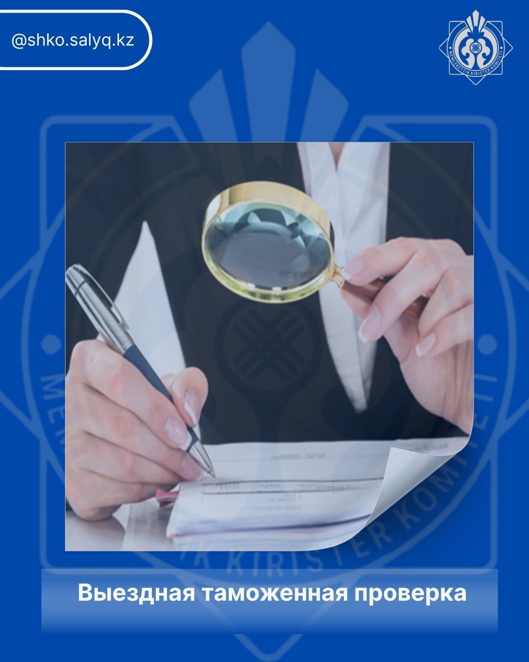 Көшпелі кедендік тексеру