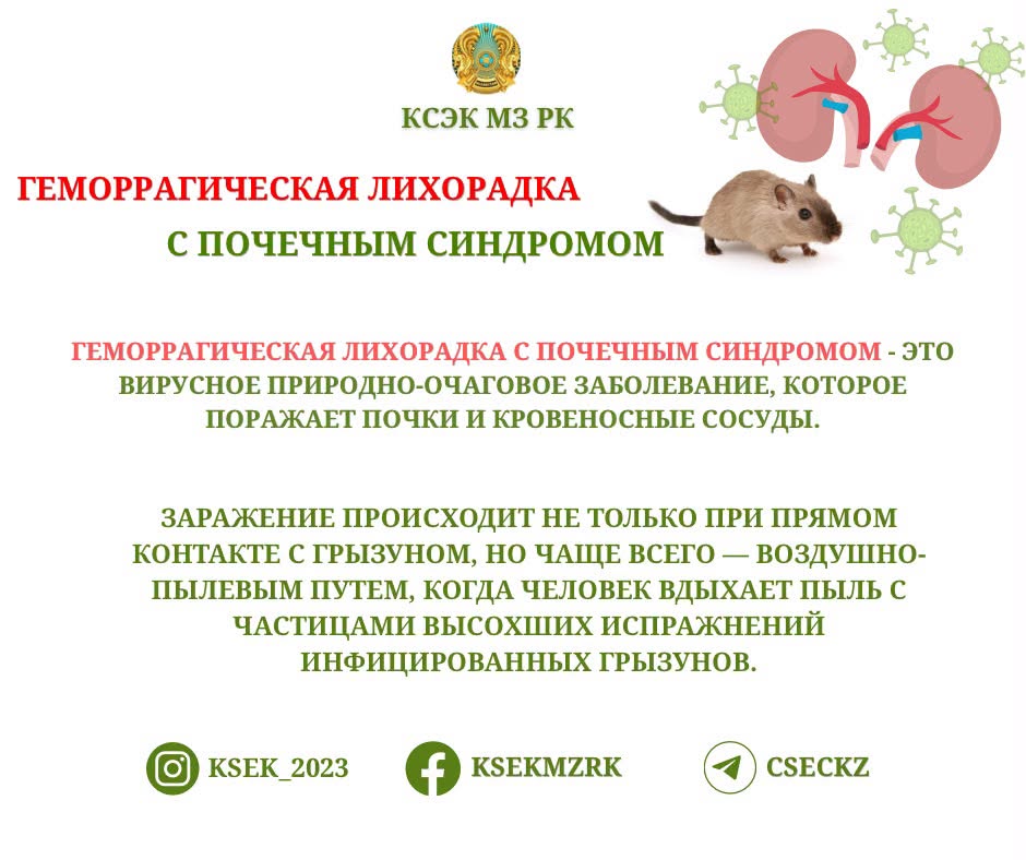 Бүйрек синдромды геморрагиялық қызба