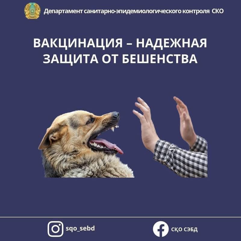 ☝️Құтырманың алдын алу: нені білу қажет?