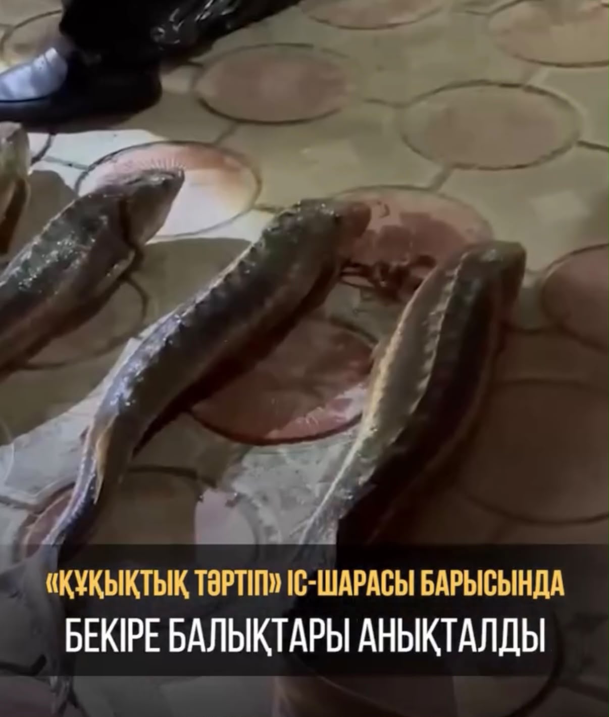 Ақтауда «Қарасора» іс-шарасы барысында есірткі тәркіленді