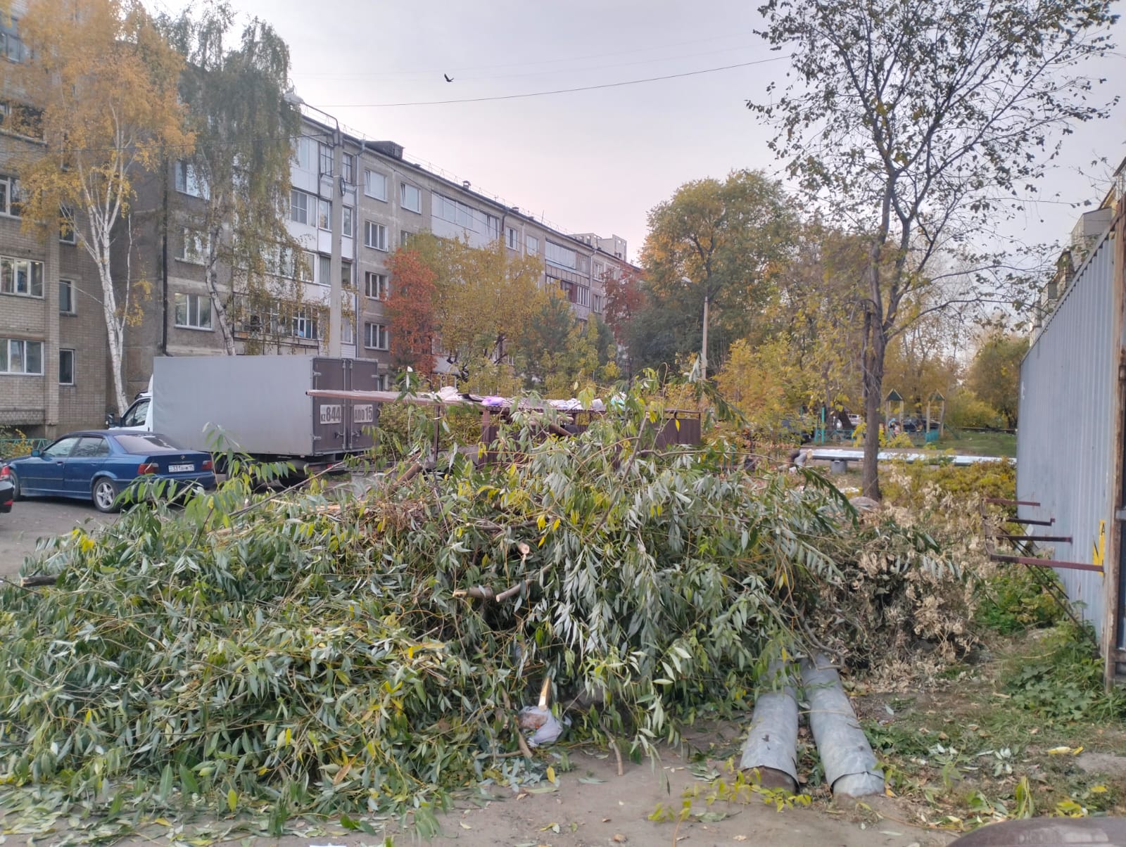 Кесілген бұтақтар тұрмыстық қоқысқа жатпайды. Полицейлер абаттандыру ережелерін еске салды