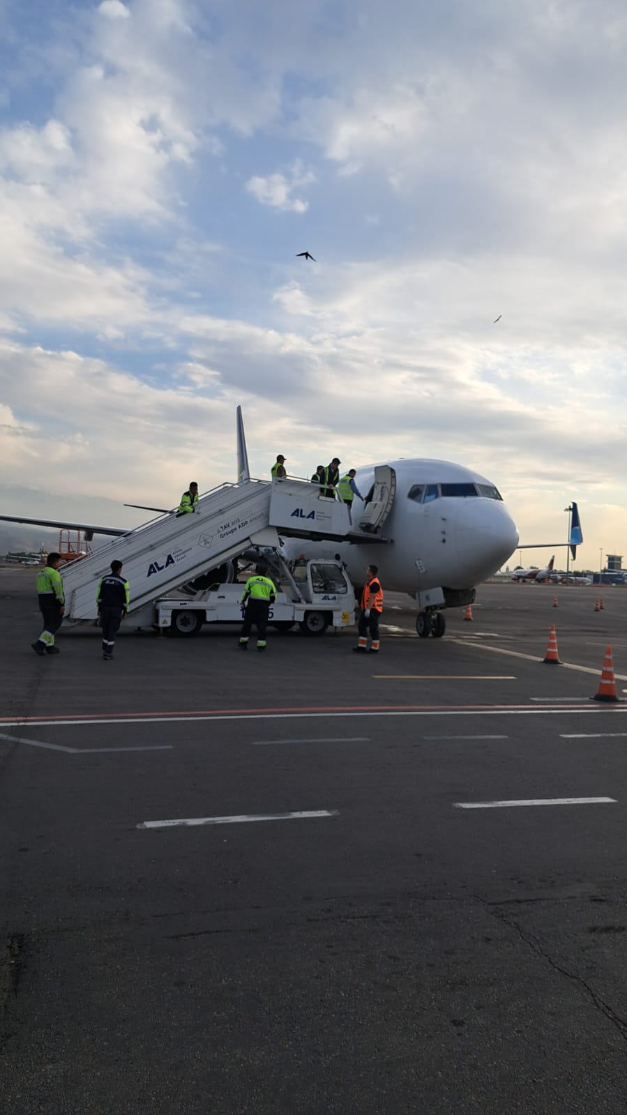 Flydubai Алматы мен Дубай арасында жүк рейстерін орындай бастады