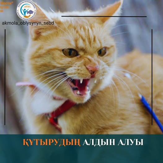 Құтырудың алдын алуы
