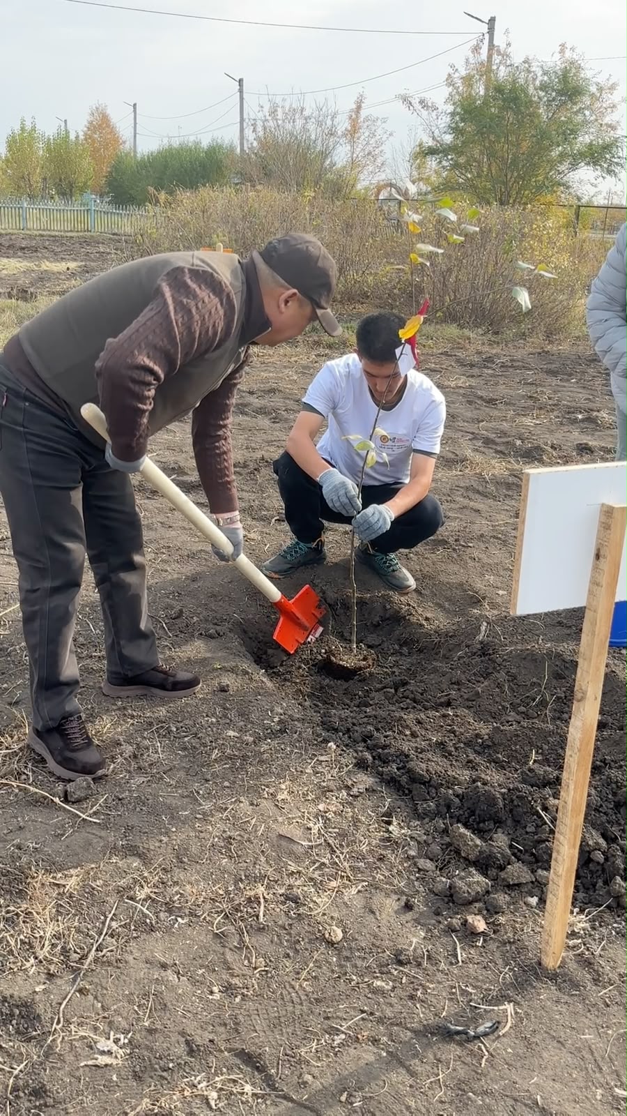 Сарыкөл агробизнес және құқық колледжінде жеміс ағаштарының көшеттері отырғызылды.