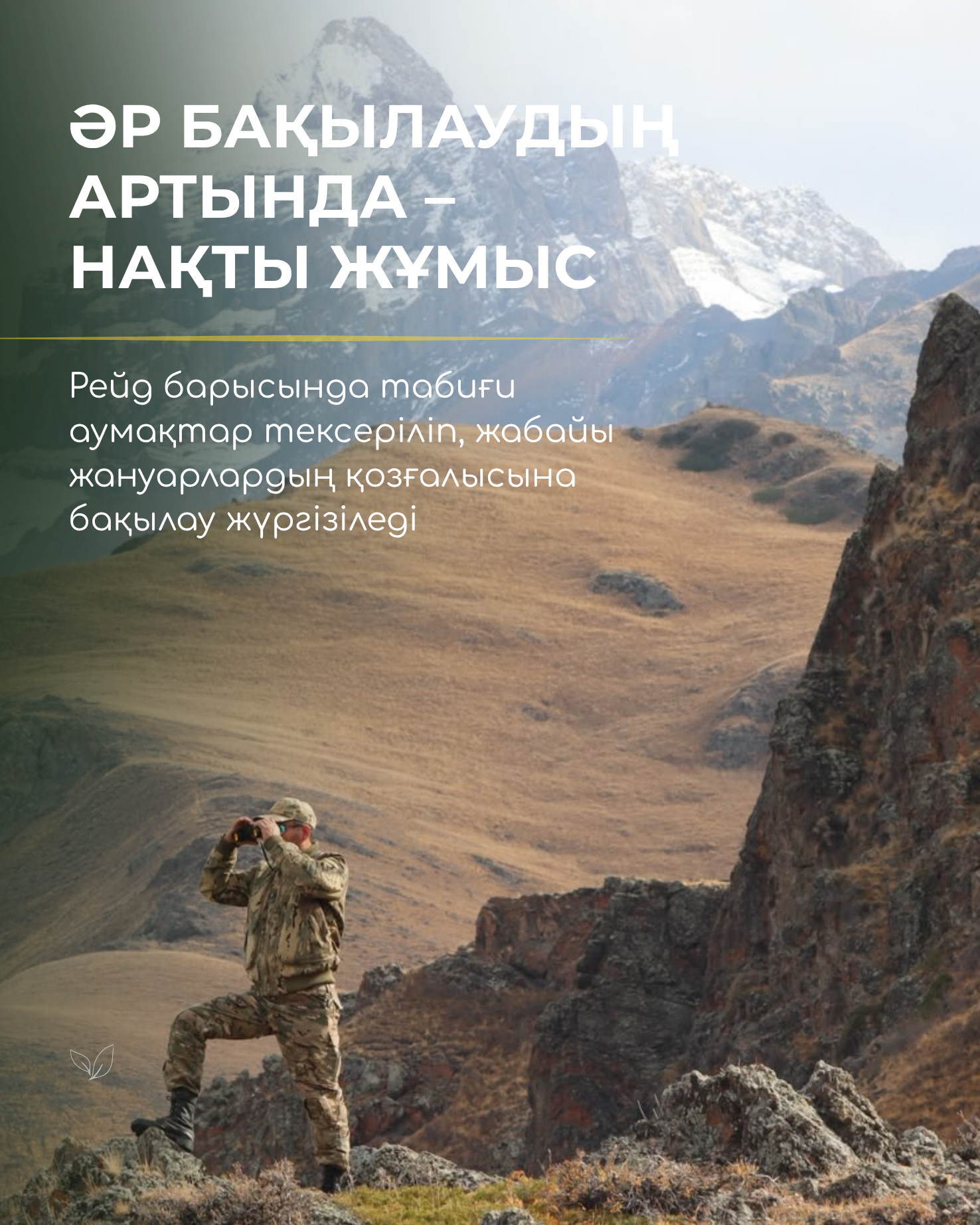 Тауда тыныштық. Ал бақылау тоқтамайды