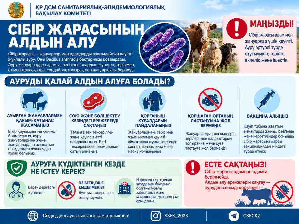 Сібір жарасының алдын алу